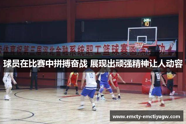 球员在比赛中拼搏奋战 展现出顽强精神让人动容