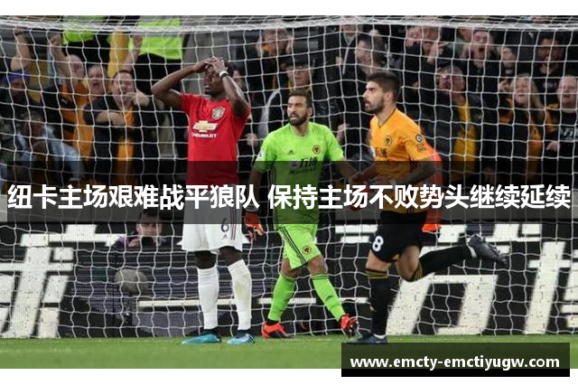 纽卡主场艰难战平狼队 保持主场不败势头继续延续