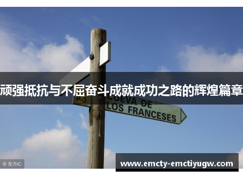 顽强抵抗与不屈奋斗成就成功之路的辉煌篇章