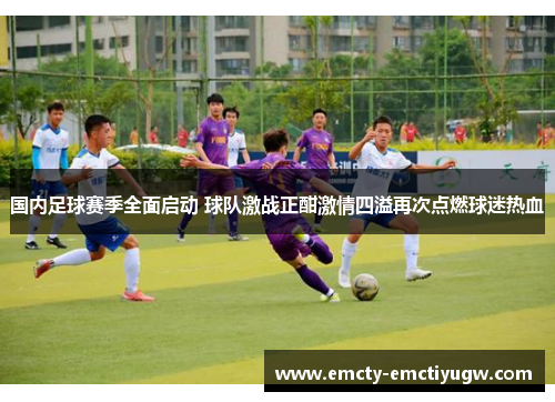 国内足球赛季全面启动 球队激战正酣激情四溢再次点燃球迷热血