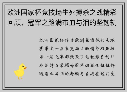 欧洲国家杯竞技场生死搏杀之战精彩回顾，冠军之路满布血与泪的坚韧轨迹