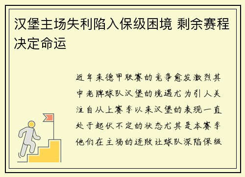 汉堡主场失利陷入保级困境 剩余赛程决定命运