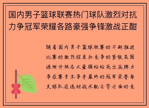 国内男子篮球联赛热门球队激烈对抗力争冠军荣耀各路豪强争锋激战正酣